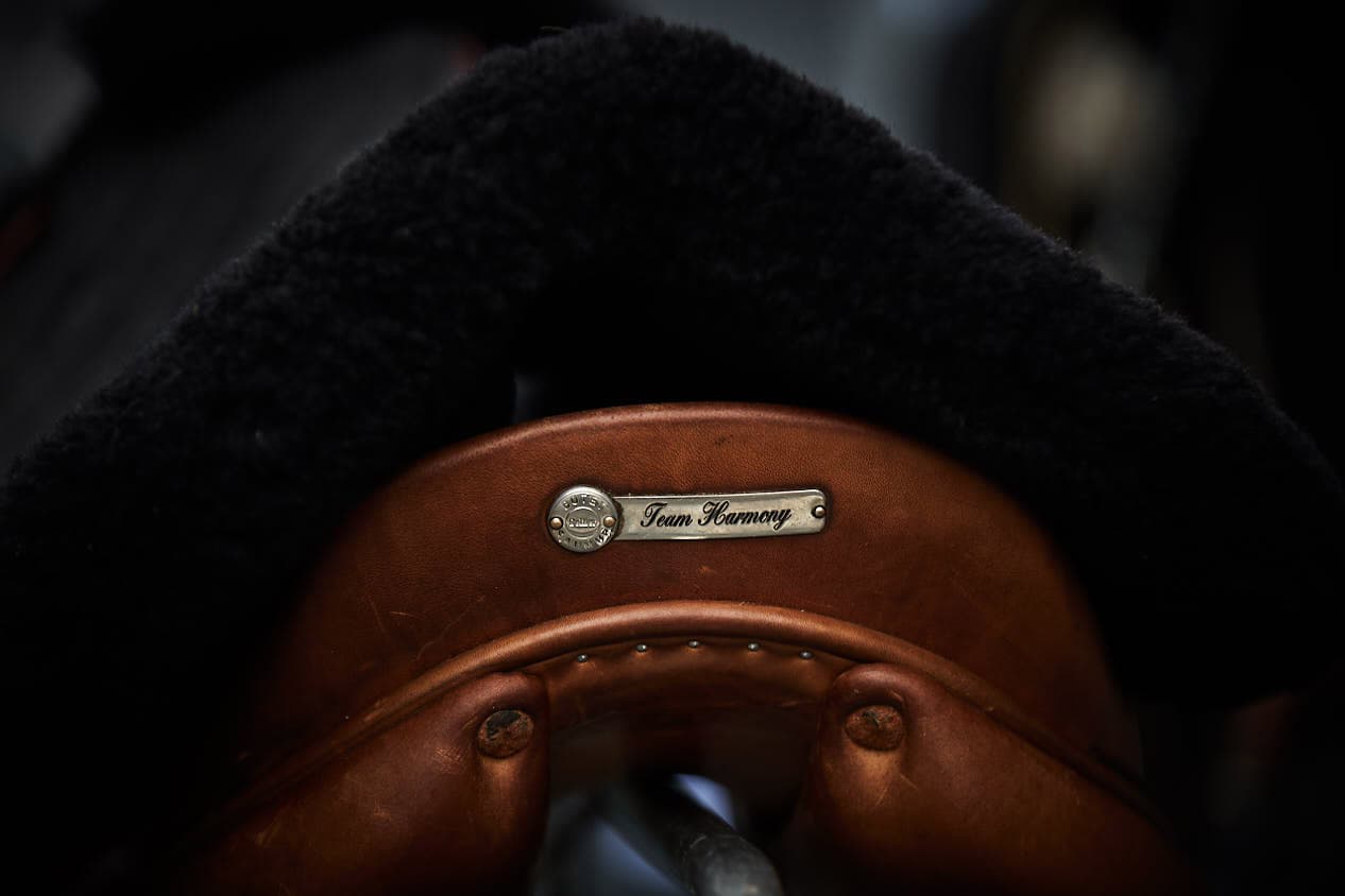 Team Harmony equestrian